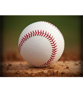 Ripon Travel Baseball